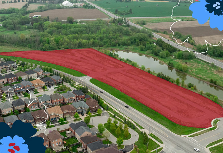 Townhomes of Little Rouge located at Donald Cousens Parkway & Ninth Line, Markham cover image