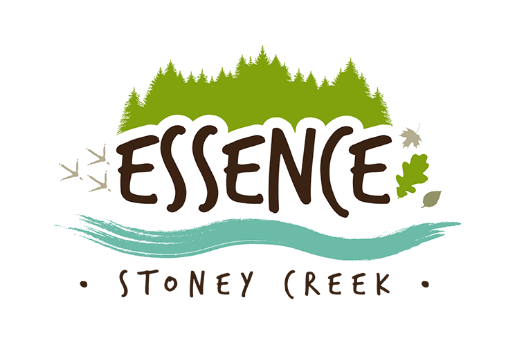 Essence located at First Road East & Green Mountain Road East,  Hamilton,   ON image